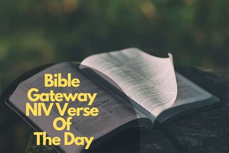 Bible Gateway Niv Verse Of The Day Bible Verses Of The Day