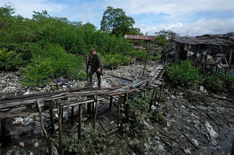 La Jornada Gobierno De Colombia Y Mayor Disidencia De Las FARC