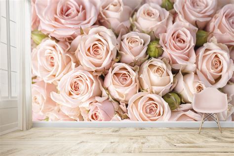 Pink Rose Flowers Wall Mural Wallpaper