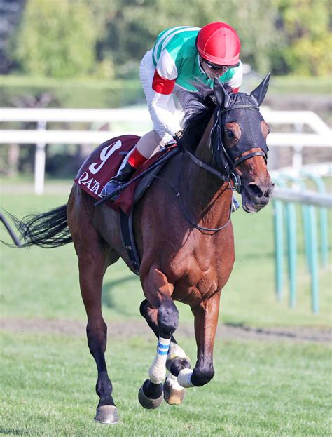 【注目馬動向】凱旋門賞4着のスルーセブンシーズは有馬記念へ Umatoku 馬トク