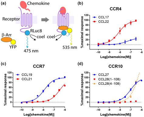 Ijms Free Full Text Systematic Assessment Of Chemokine Signaling At