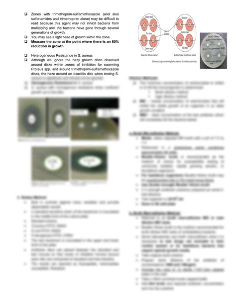 Solution Antimicrobial Susceptibility Testing Ast Bacteriology