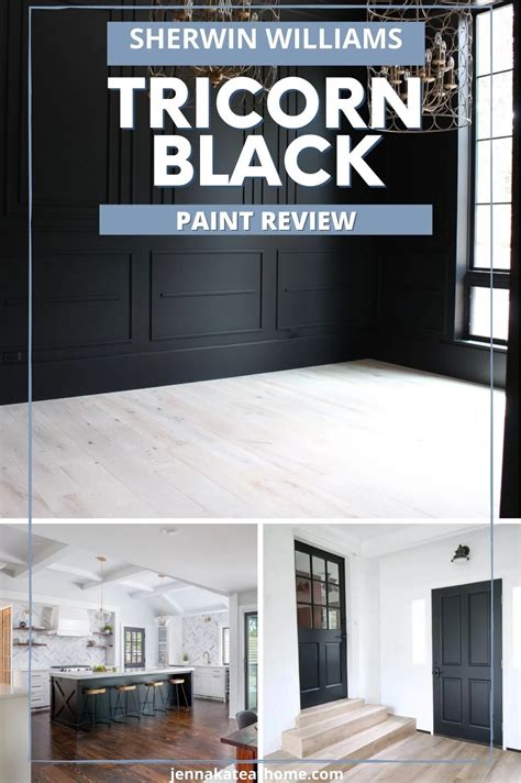 Sherwin Williams Tricorn Black Artofit