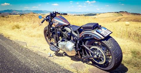 Harley Davidson Cross Bones Bobber