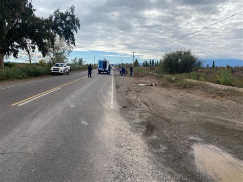 Se cruza un perro y provoca la caída de un motociclista El Zonda