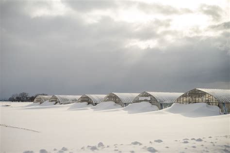 A winter trip to Aomori: Hirosaki Snow Lantern Festival | InHokkaido