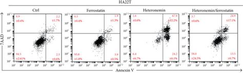 Heteronemin Initiates Ferroptosis Which Is Associated With