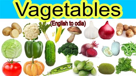 All Vegetables Name English To Odia Vagetable Name English To Odia