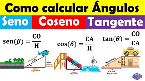 Como Calcular Seno Y Coseno Con La Tangente Company Salaries The Best