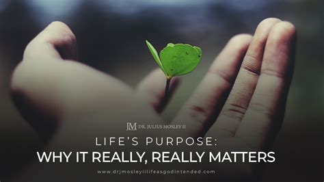 Lifes Purpose Why It Really Really Matters Dr Julius Mosley Ii