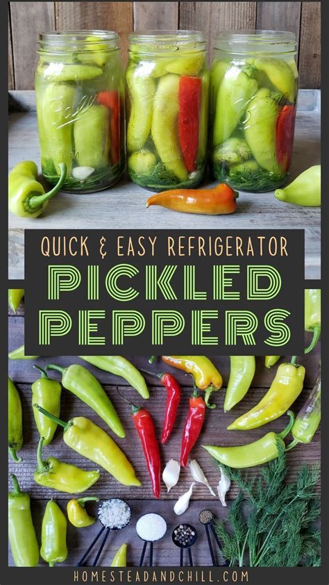 Come Learn To Make Quick And Easy Refrigerator Pickled Peppers Using