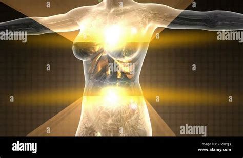 Science Anatomy Scan Of Human Body In X Ray With Glow Lungs Stock Video