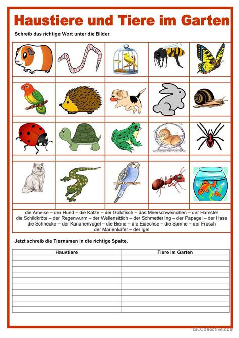 Bilderw Rterbuch Haustiere Und Ti Deutsch Daf Arbeitsbl Tter Pdf Doc