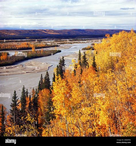 Alaska Tanana Valley Hi Res Stock Photography And Images Alamy