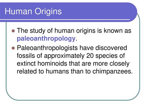 Mammals Chapter Ppt Download