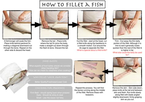 Fish Filleting Teaching Resources