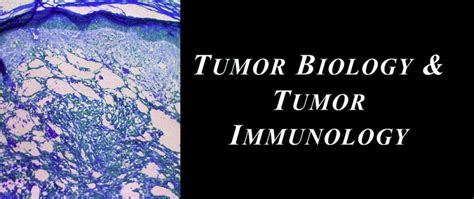 Tumor Biology And Tumor Immunology Pathology Microbiology And