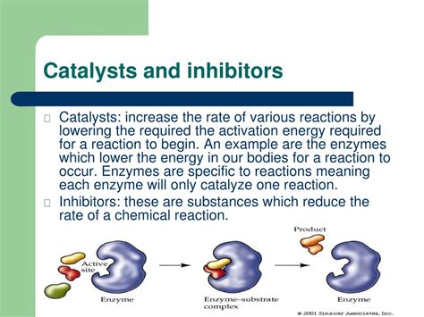 Ppt Observing And Describing Chemical Reactions Powerpoint Presentation Id 9227134