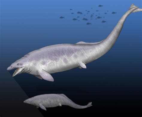 Basilosaurus cetoides by maniraptora on deviantART