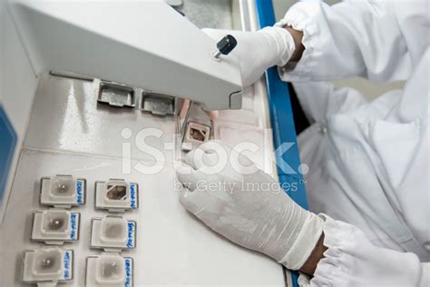 Histology Procedure Embedding Stock Photo Royalty Free Freeimages