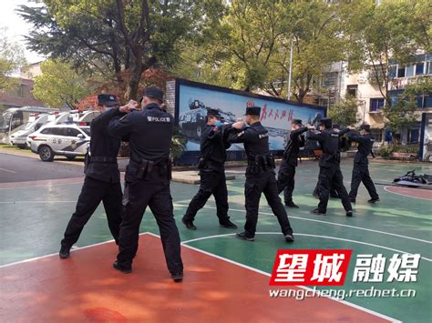 望城公安：全面推进全警实战大练兵活动 望城新闻网