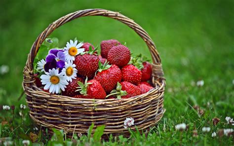 Fondos de pantalla comida Flores césped rama Fruta Fresas cesta