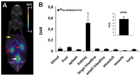 In Vivo And Ex Vivo Biodistribution Data For 68 Ga Nodaga Pca A