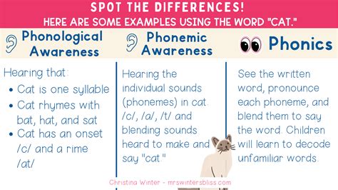 Common Phonics Terms And Definitions Mrs Winters Bliss Resources