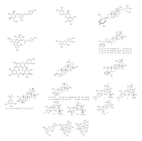 Chemical Structures Of Bioactive Compounds Of Quercus Species