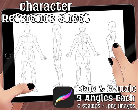 Character Reference Sheet Base Template Male and Female 6 Stamps .png Images - Etsy