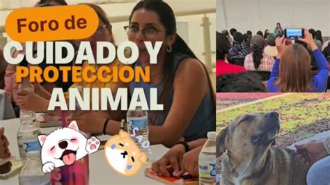 Promueven cuidado y protección animal en Almoloya de Juárez Primero