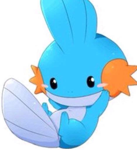 Mudkip Wiki Pok Mon Amino