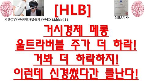 주식투자 Hlb거시경제 메롱울트라버블 주가 더 하락거봐 더 하락하지이런데 신경썼다간 클난다 Youtube