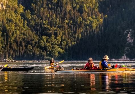 Wild Saguenay Fjord Sea Kayaking Tour Explore Quebec 10Adventures