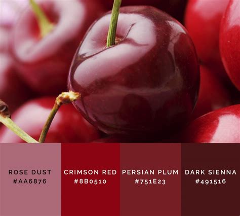 Shades Of Red Color With Names Hex Rgb Cmyk Colors Explained