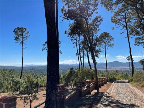 Terreno En Venta En Carr La Frontera Atemajac Fraccionamiento Bosques