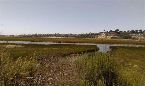 2023 O Que Fazer Em Newport Beach Os 10 Melhores Pontos Turísticos