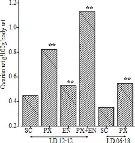 Figure From Significance Of Retinal And The Pineal Photoreceptors In