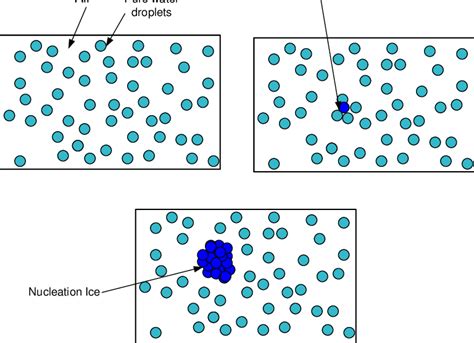 12 Homogeneous Nucleation Download Scientific Diagram