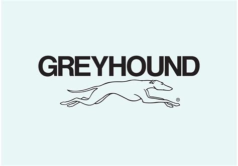 Greyhound Download Free Vector Art Stock Graphics And Images