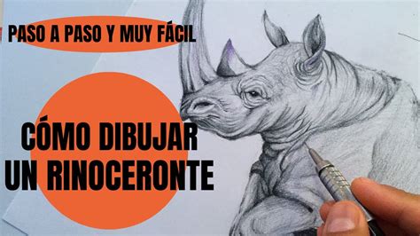 Cómo Dibujar Un Rinoceronte Paso A Paso Youtube