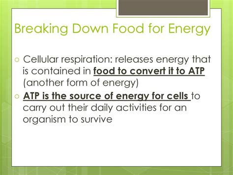 Photosynthesis And Cellular Respiration Ppt Download