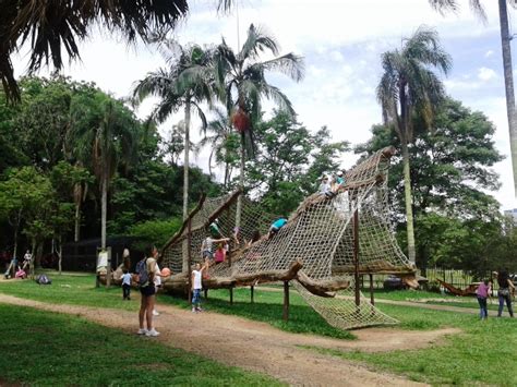 Motivos Para Visitar O Parque Burle Marx Na Zona Sul De S O Paulo