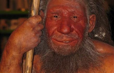 Do Neanderthal Genes Determine Our Skin Color And Sleep Patterns ...