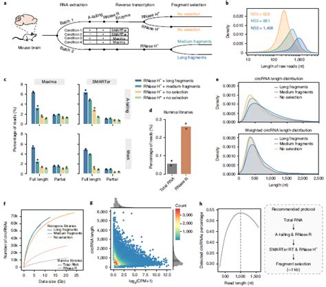 Nbt Nanopore Circrna