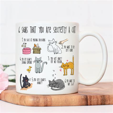 Six Signs That You Are Secretly A Cat Crazy Cat Lady Mug Etsy