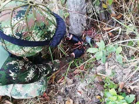 Ejército Nacional Destruye 13 Artefactos Explosivos Cerca De Viviendas En Arauquita Pautonoticias