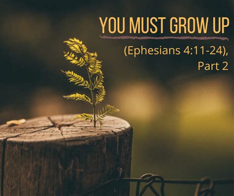 You Must Grow Up Ephesians 4 11 24 Part 2 Grace Evangelical Society