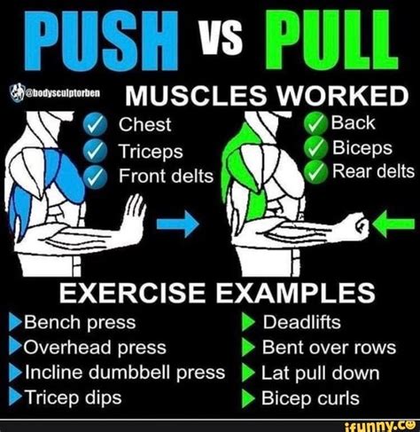 PUSH US PULL MUSCLES WORKED Chest @ Back Triceps Biceps Front delts (Y ...