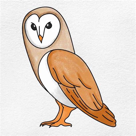 Easy Drawings Of Barn Owls